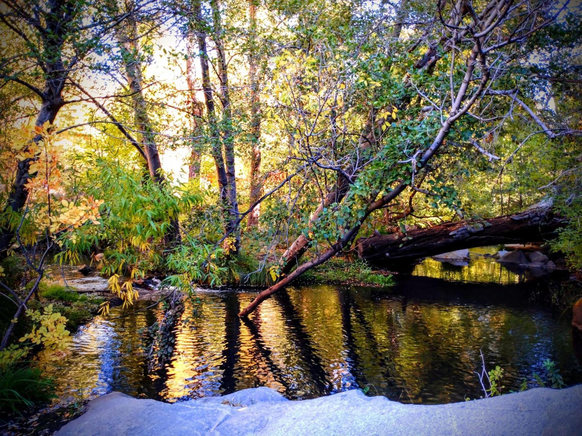 Quiet Mind Lodge, Spa & Retreat Sequoias كيرنفيل المظهر الخارجي الصورة