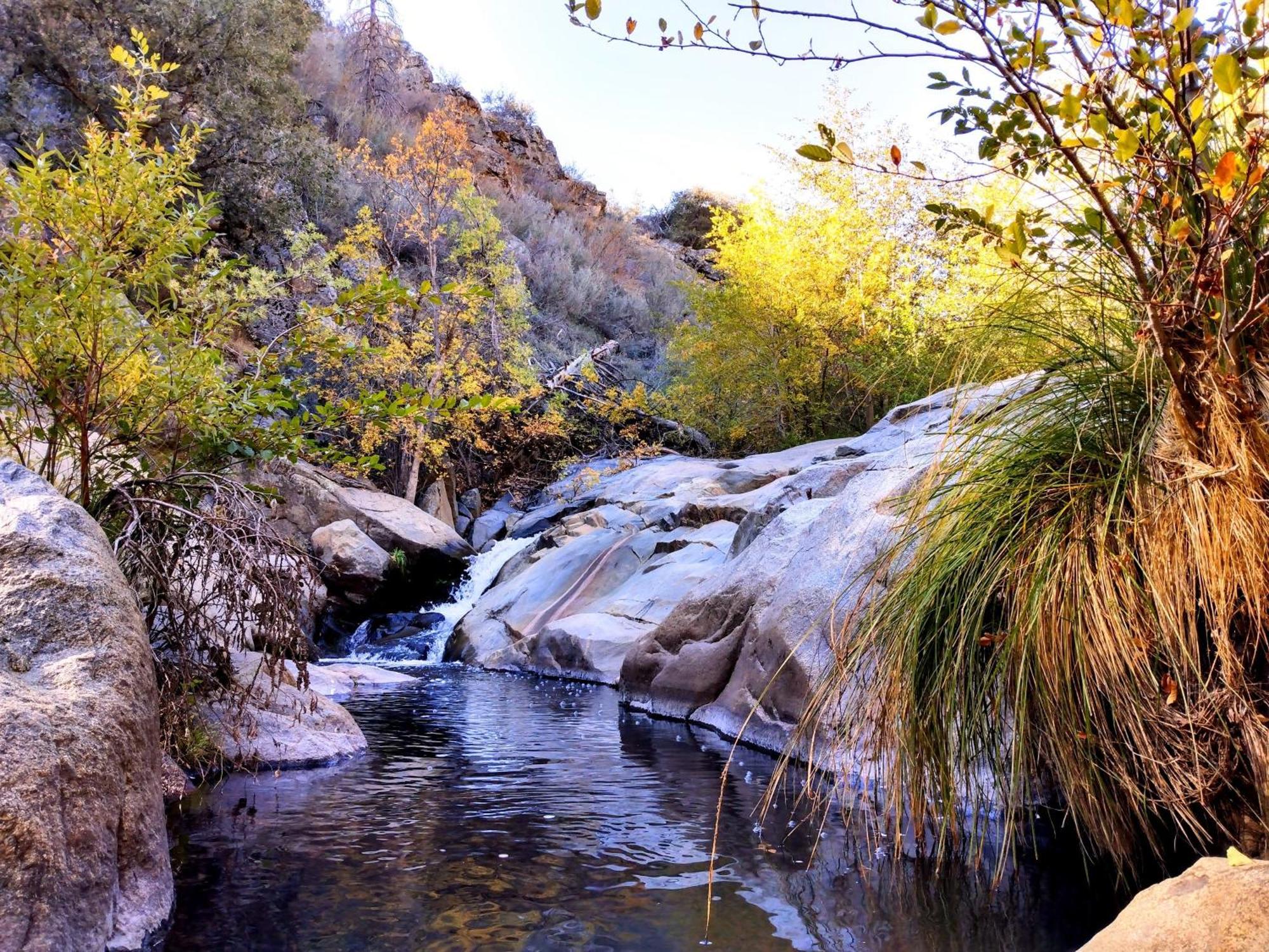 Quiet Mind Lodge, Spa & Retreat Sequoias كيرنفيل المظهر الخارجي الصورة